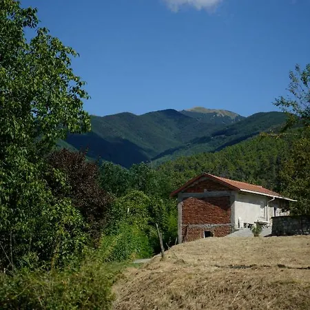 Appartamento Casa Rio *